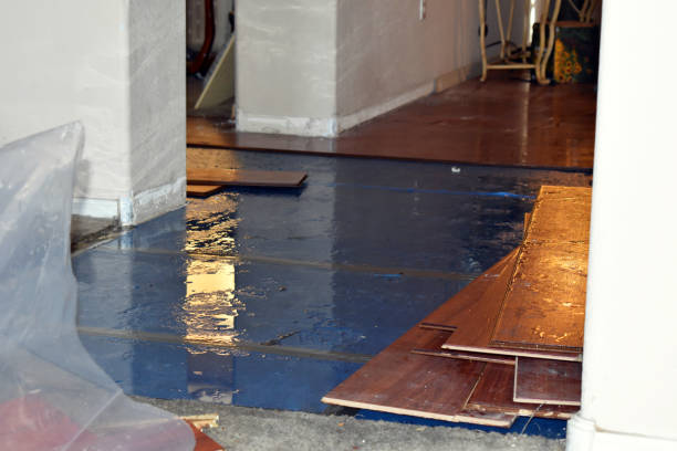 Professional Water Damage Restoration technician working in Alledonia, OH